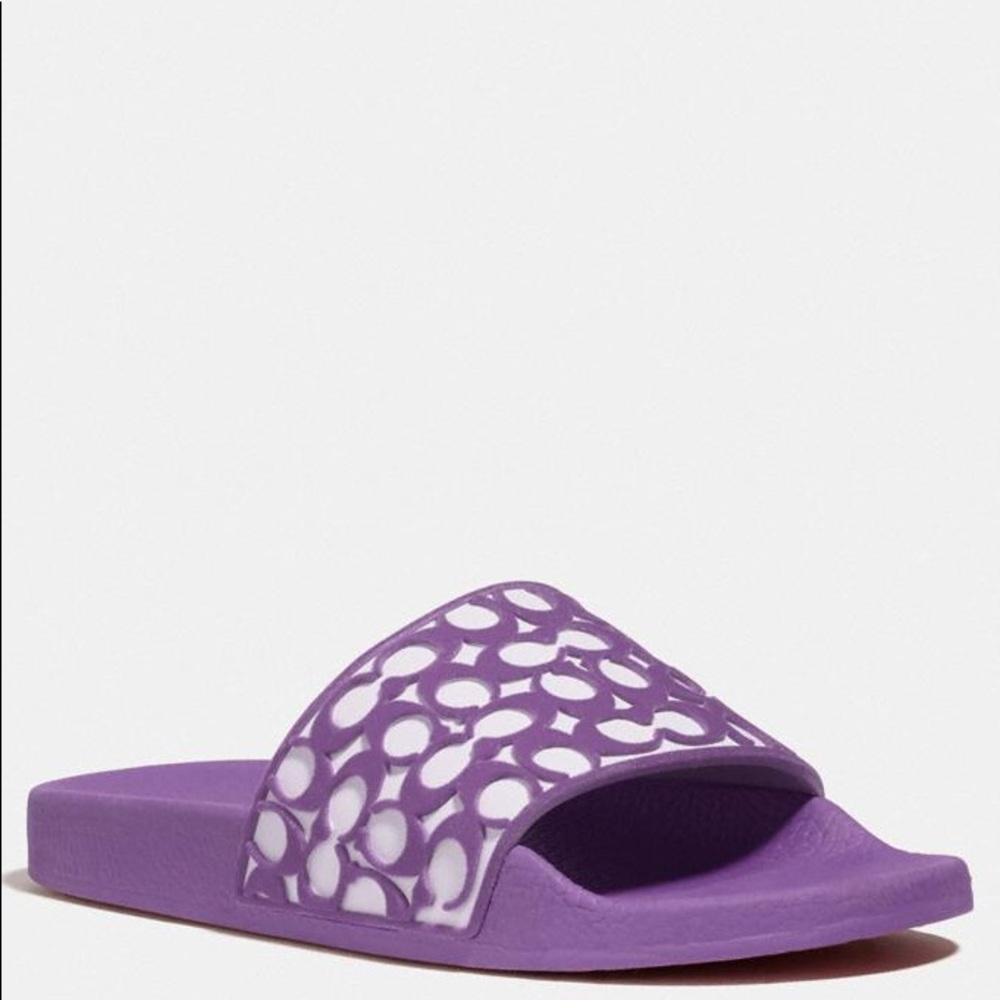 NWT in box Coach slides